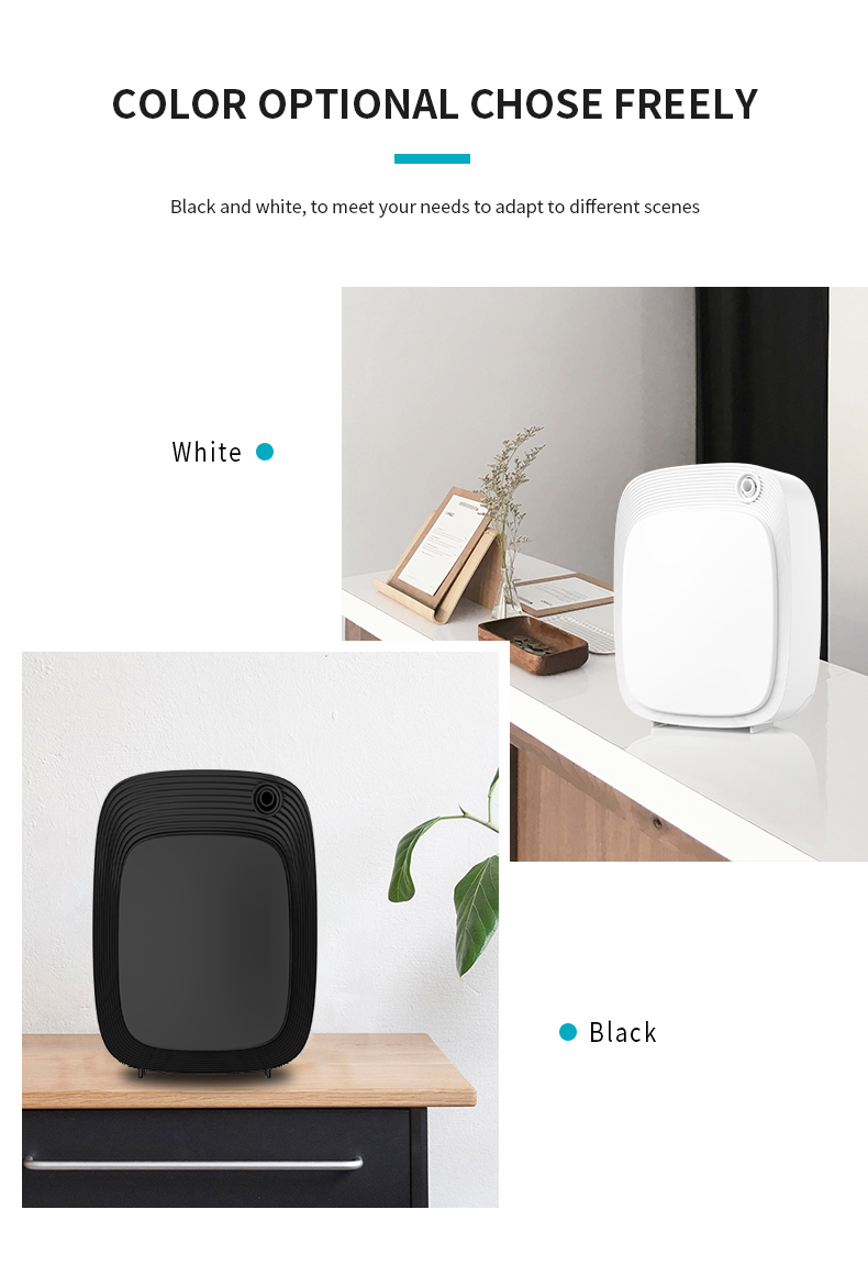 1765159183496415.jpg 1 (6).jpg